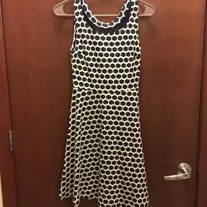 Cotton Navy and white dress